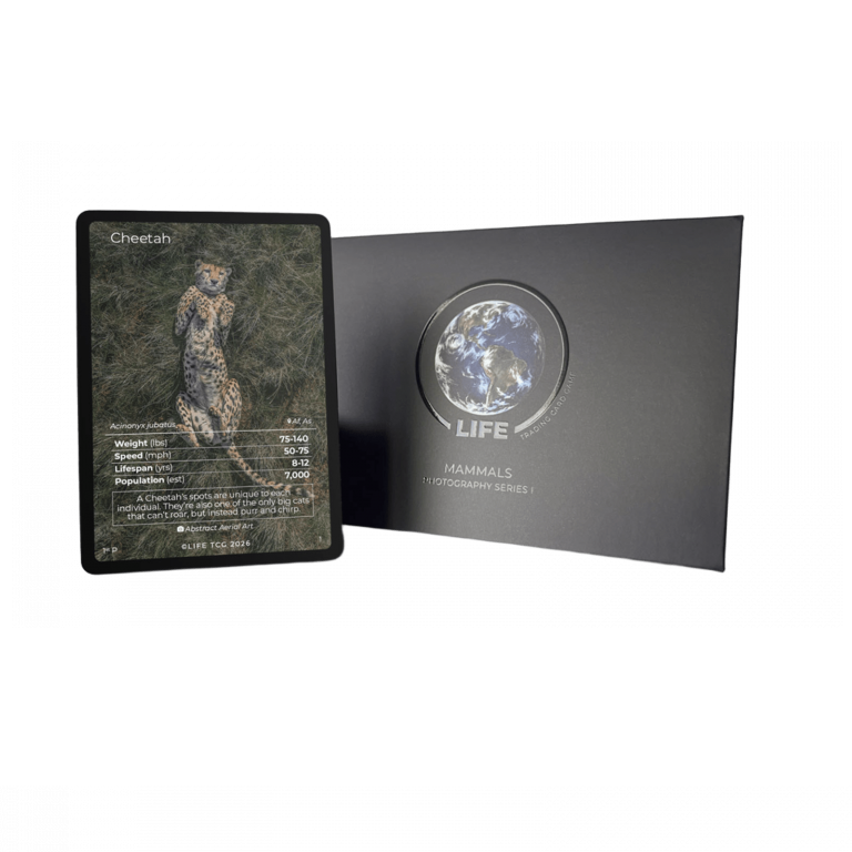 Life TCG - Cheetah Photography Card